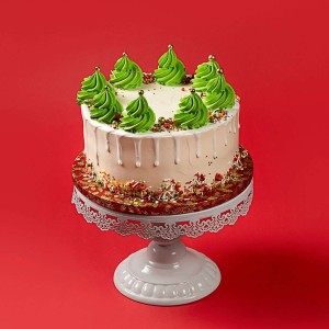 Christmas Frosted Forest Cake