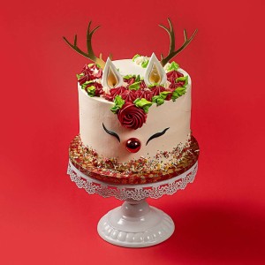 Christmas Rudolph's Treat Cake
