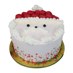Santa's Surprise cake