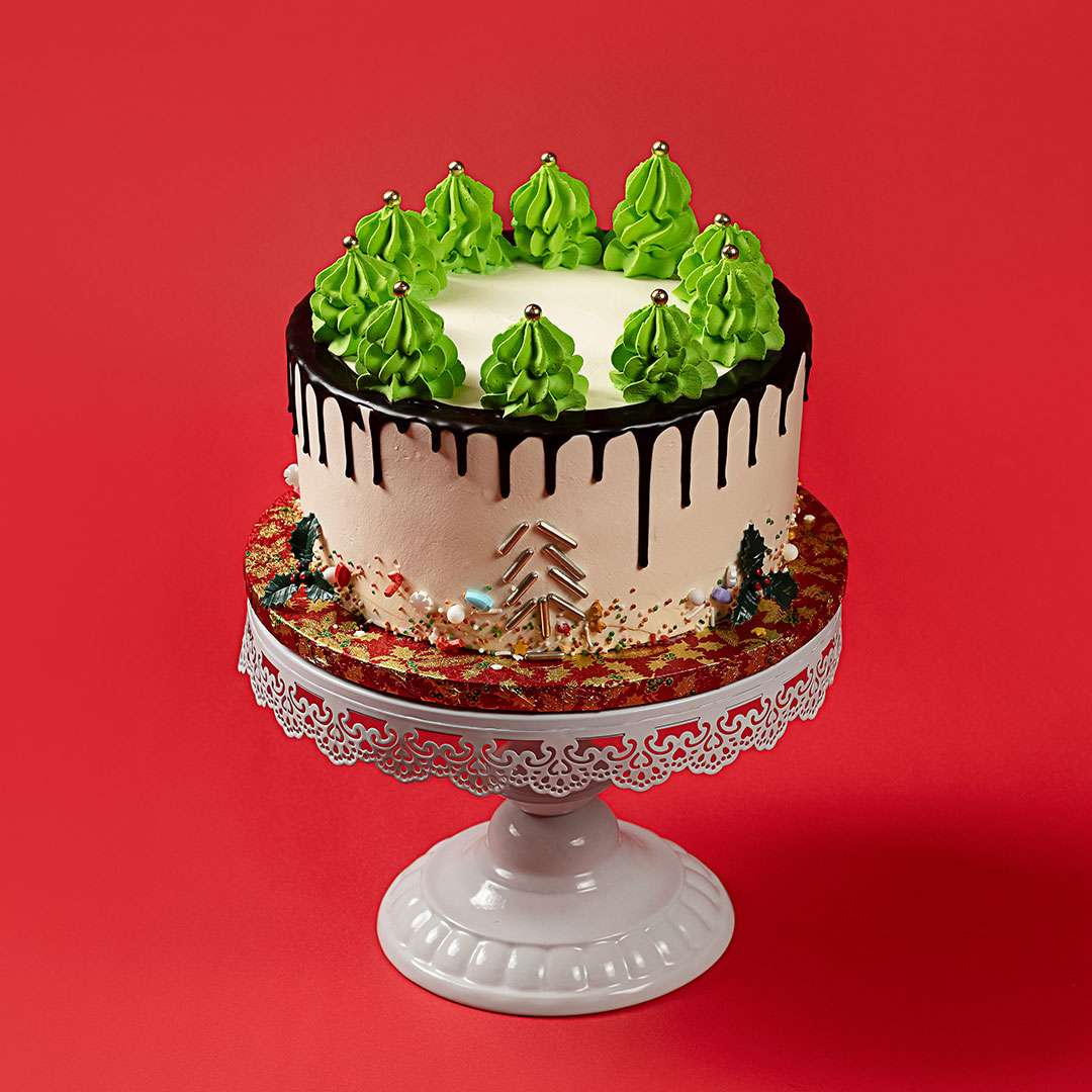 Christmas Winter Wonderland Trees Cake