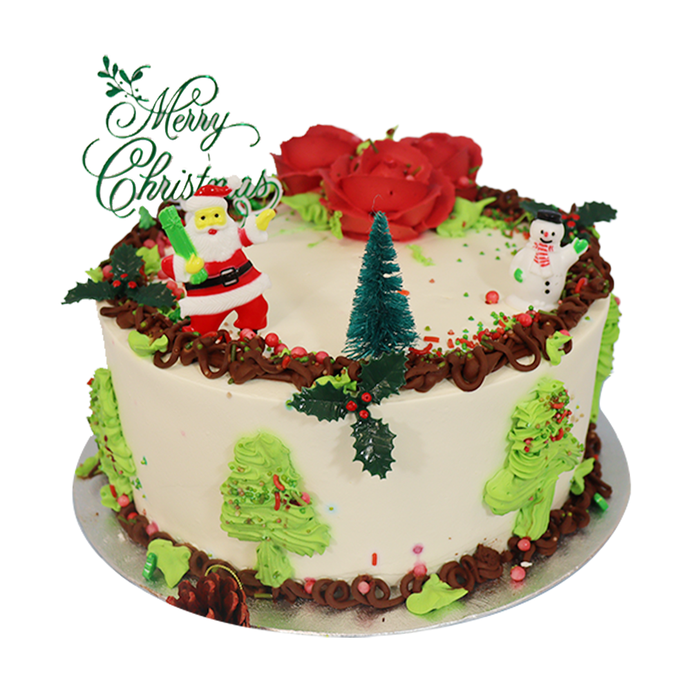 Icy Elegance Cake